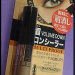 Eyebrows too tranny? Try Kiss Me Heavy Rotation Eyebrow Concealer