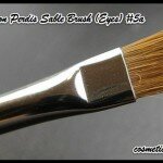 Hauled it: Napoleon Perdis & Laura Mercier Make Up Brushes Review